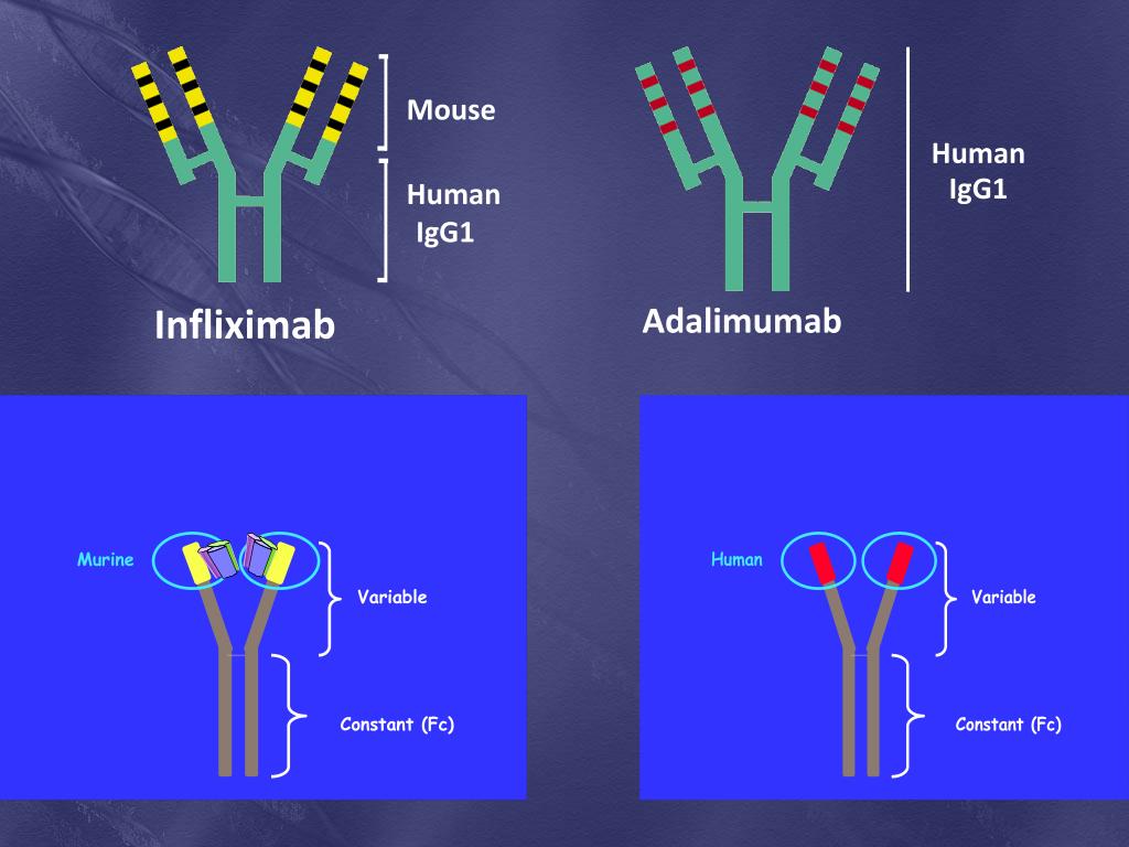 PPT Cytokines And Biologic Treatment in Arthritis PowerPoint