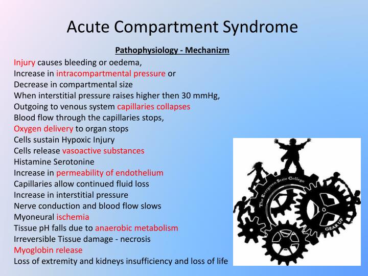 PPT Acute Compartment Syndrome PowerPoint Presentation ID2259539