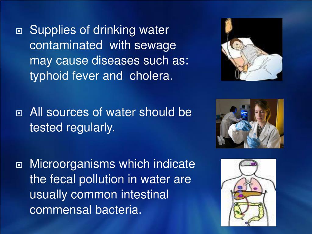 PPT Bacteriological Examination of water, milk and air PowerPoint