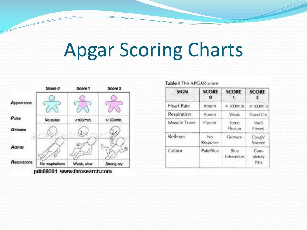 PPT Neonatal Assessment PowerPoint Presentation, free download ID