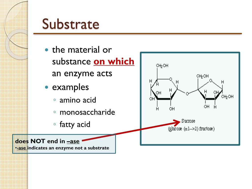 PPT Nutrition Definitions & Concepts PowerPoint Presentation ID2265234