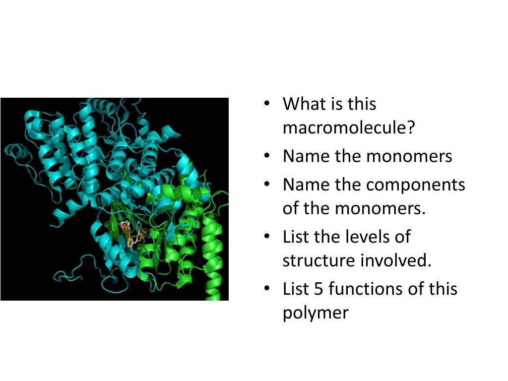 PPT Explain why water has a high heat capacity. Why is this important