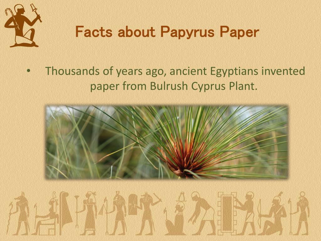 PPT History of Egyptian Papyrus Paper PowerPoint Presentation, free