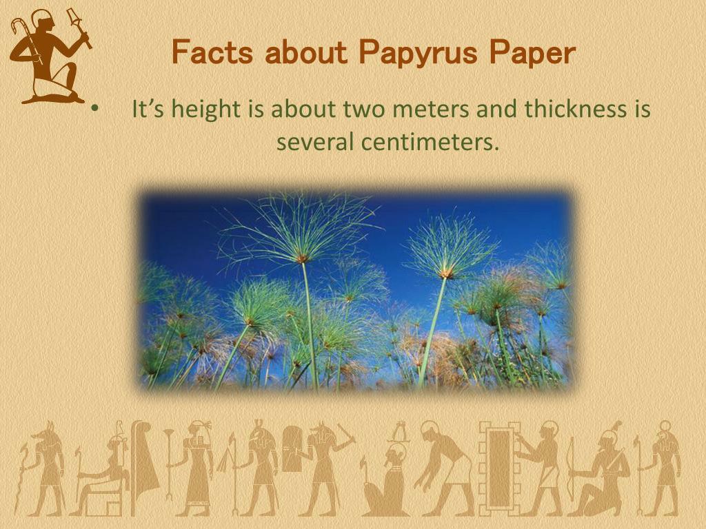 PPT History of Egyptian Papyrus Paper PowerPoint Presentation, free