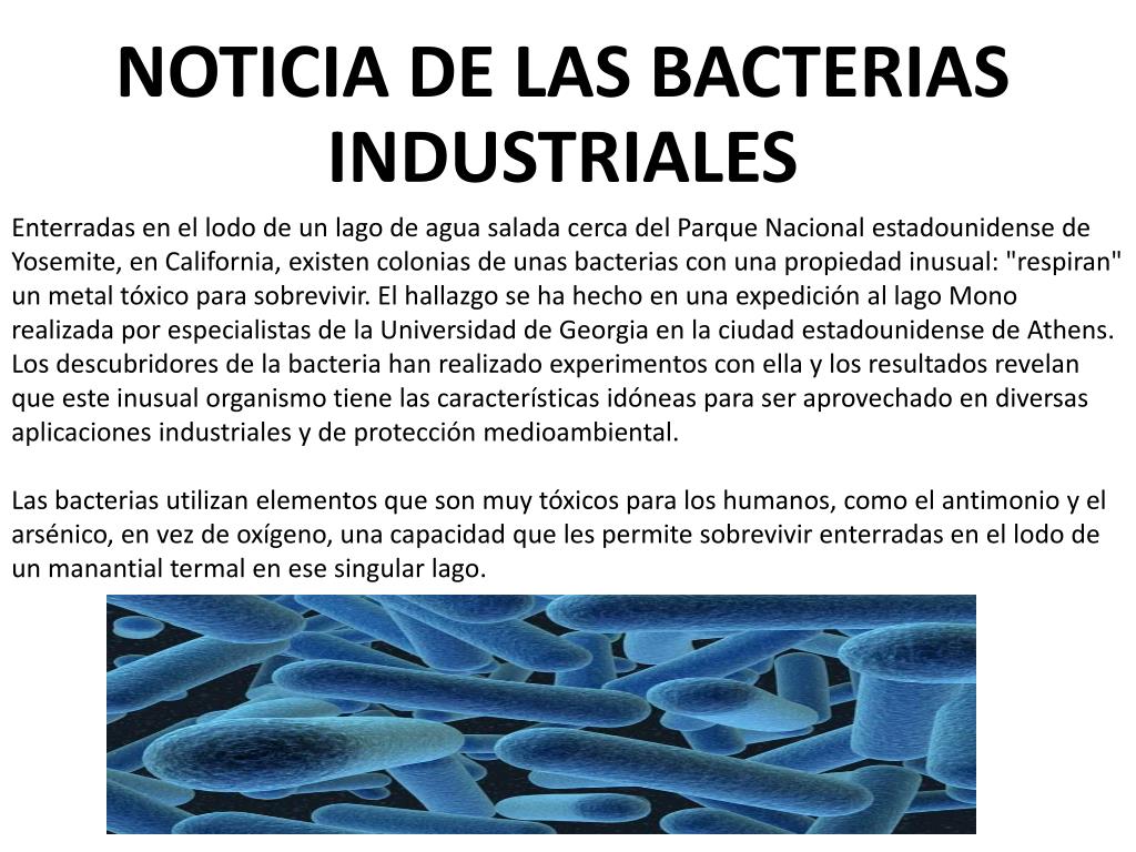 PPT BACTERIAS INDUSTRIALES PowerPoint Presentation, free download