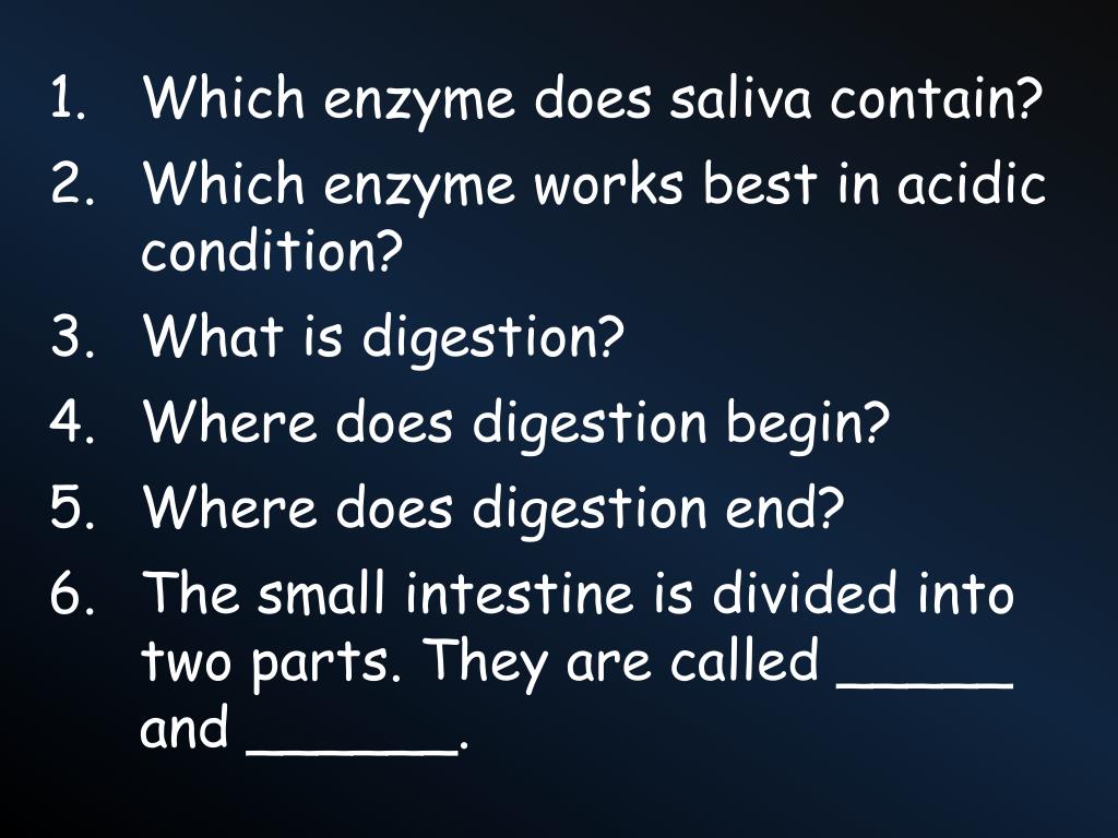 PPT Which enzyme does saliva contain? Which enzyme works best in