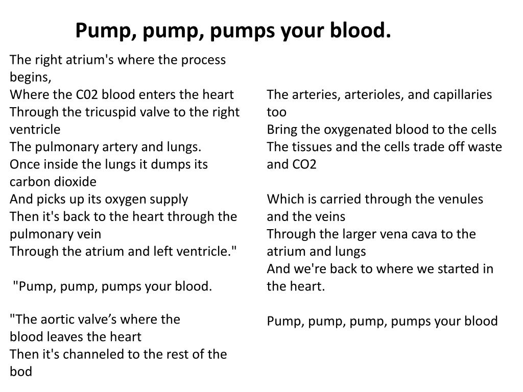 PPT Human Systems PowerPoint Presentation, free download ID2271765