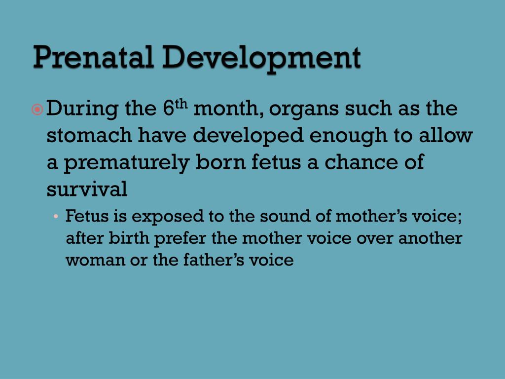 PPT Developmental Psychology PowerPoint Presentation, free download