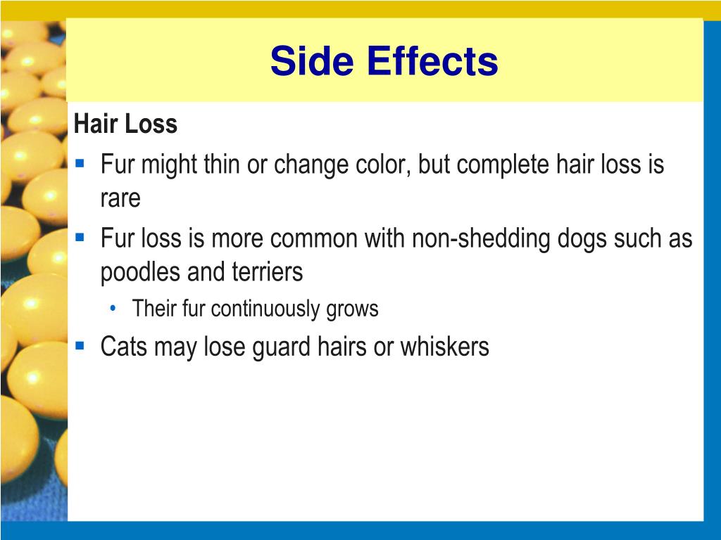 PPT Practical Oncology Principles of Chemotherapy PowerPoint
