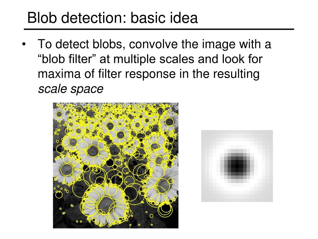PPT Blob detection PowerPoint Presentation, free download ID2272971