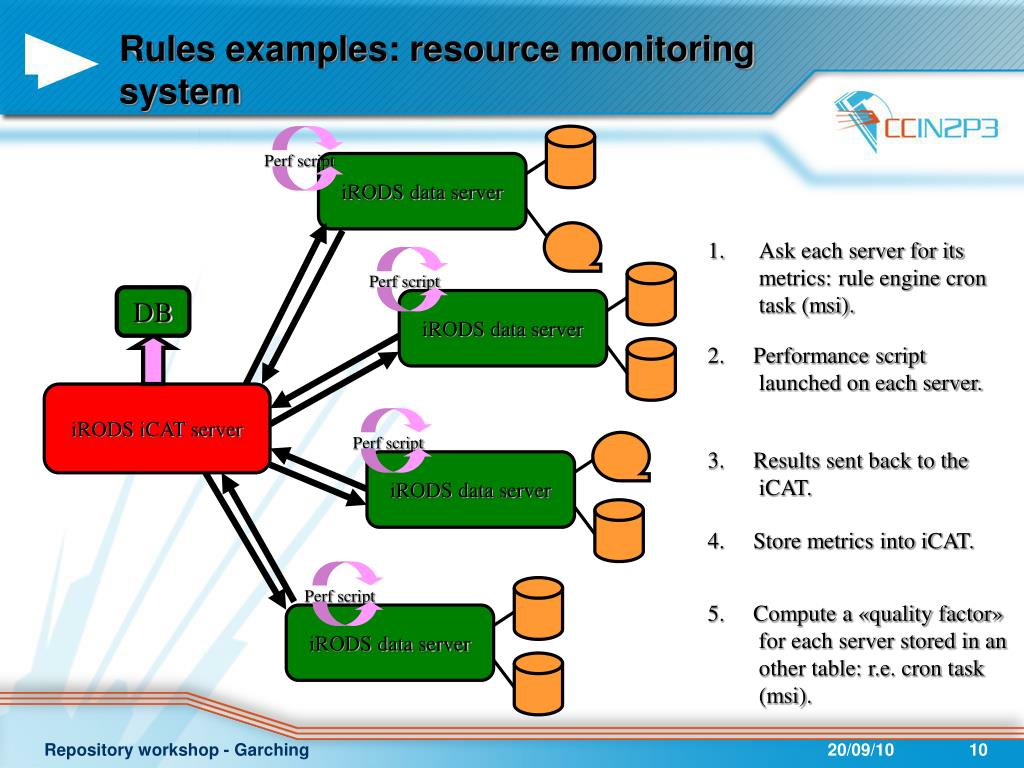 PPT Generic policy rules and principles PowerPoint Presentation, free