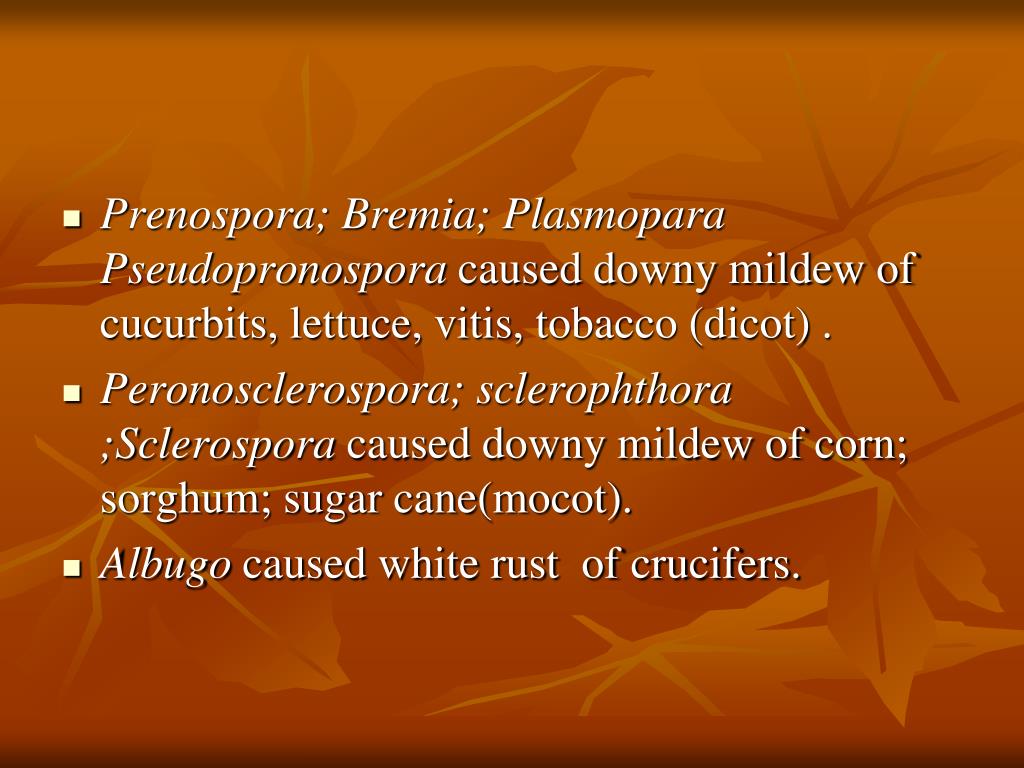 PPT Plant pathology PowerPoint Presentation, free download ID2273501