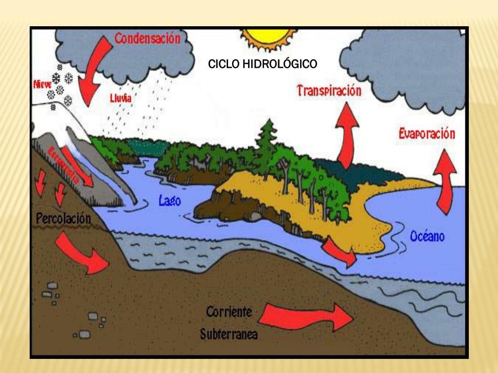 Ciclo Del Agua Evaporacion Condensacion Solidificacion Y Fusion ciclo
