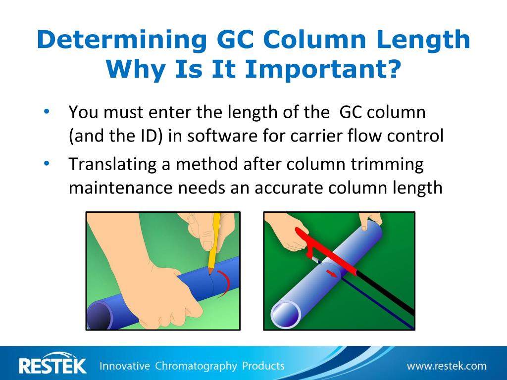 PPT Are You Being Served? Tailoring Your GC Column for a Lifetime of Analyses PowerPoint