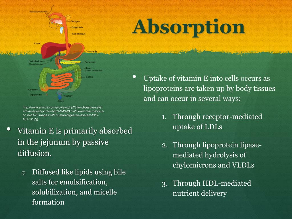 PPT Vitamin E PowerPoint Presentation, free download ID2278082