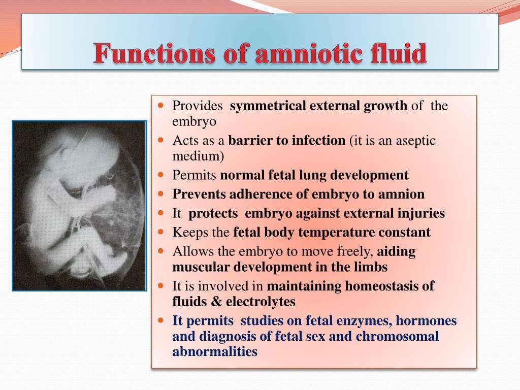 PPT Fetal Membranes PowerPoint Presentation, free download ID2278096