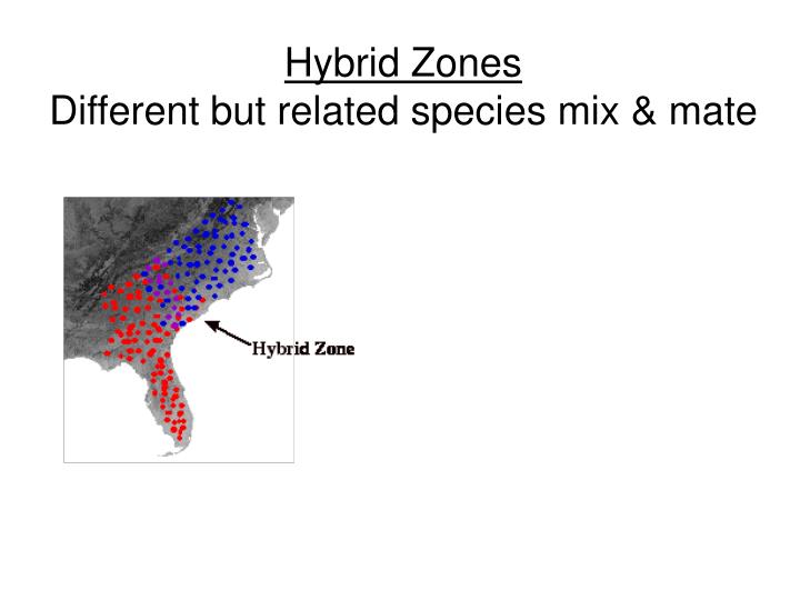 PPT Biology 212 Chapter 24 PowerPoint Presentation ID2279717