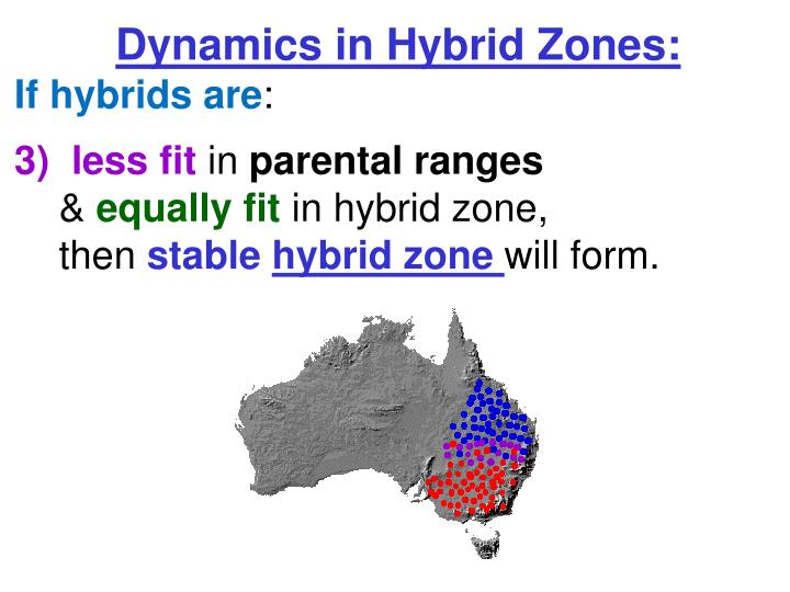 PPT Biology 212 Chapter 24 PowerPoint Presentation ID2279717