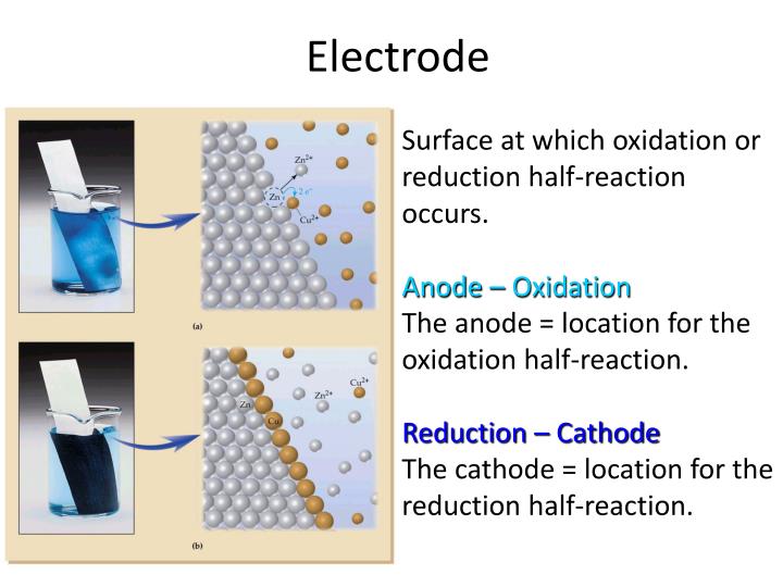 At Which Electrode Does Oxidation Take Place