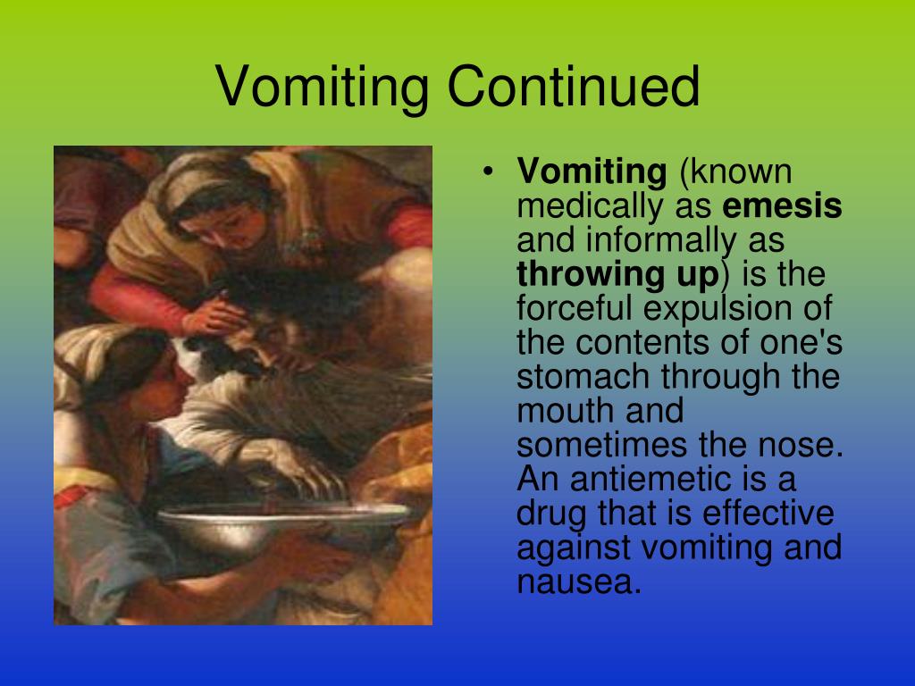 PPT THE DIGESTIVE SYSTEM Structure and Function PowerPoint