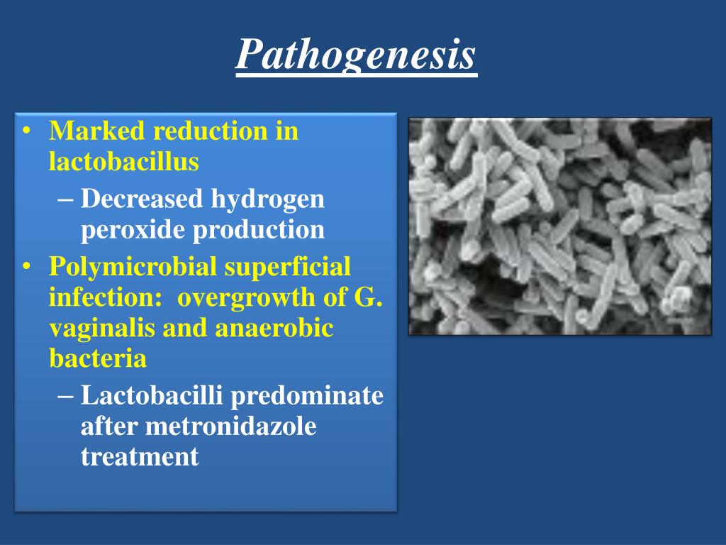 PPT Candida infection T ricpmonas vaginalis Bacterial vaginosis