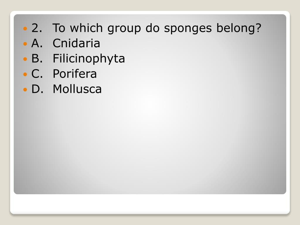 PPT Unit 4 Trashketball PowerPoint Presentation, free download