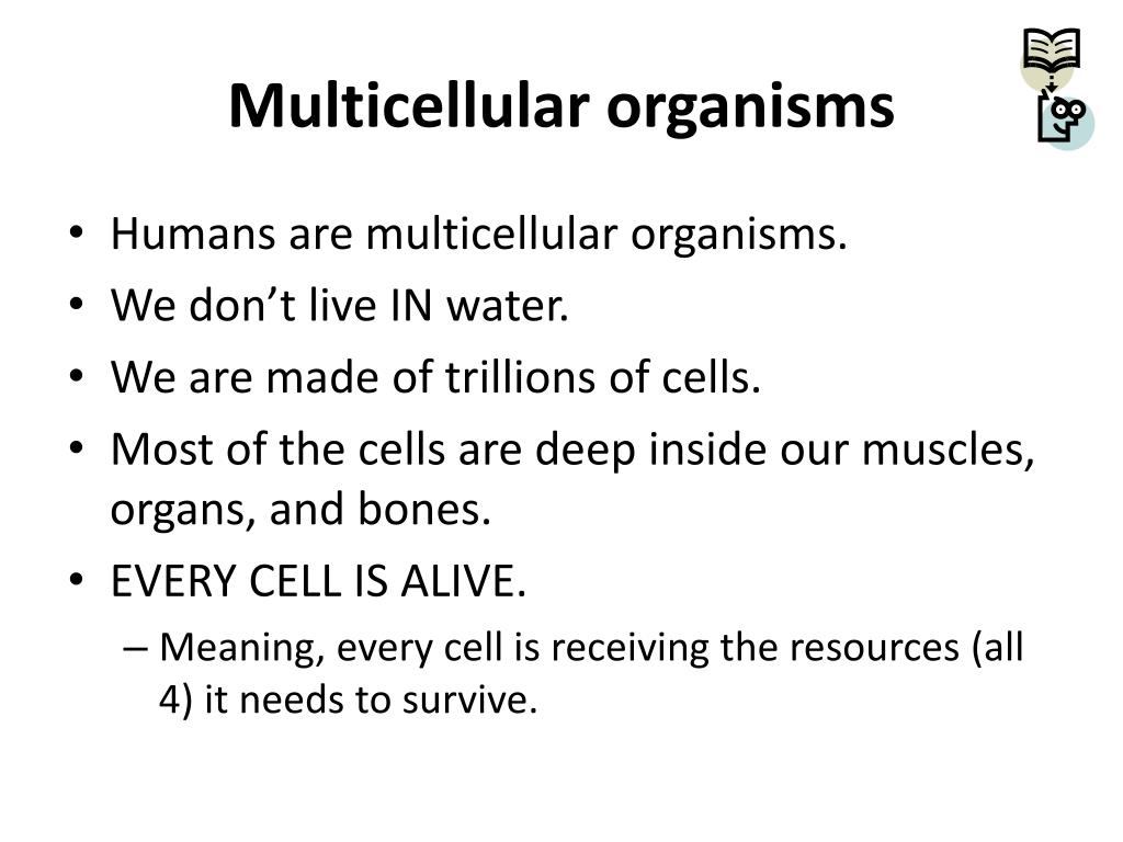 PPT CELLS PowerPoint Presentation, free download ID2286009