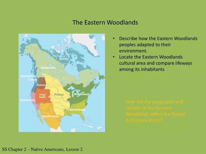 What Technology Did The Eastern Woodlands Use at Vera Watkins blog