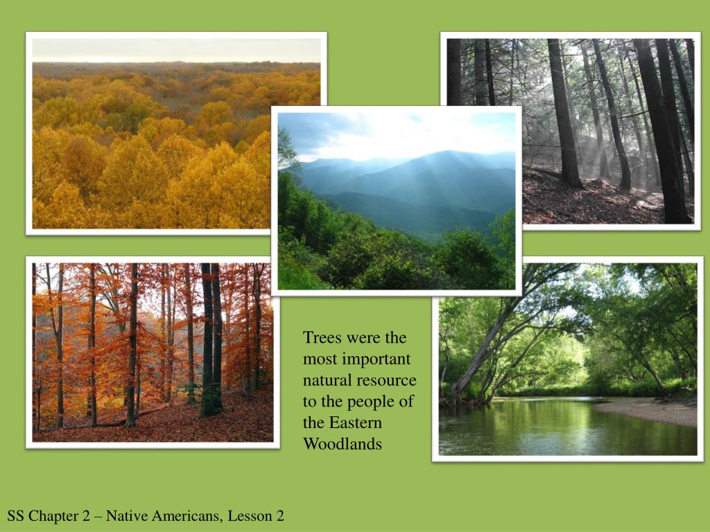 PPT The Eastern Woodlands PowerPoint Presentation, free download ID