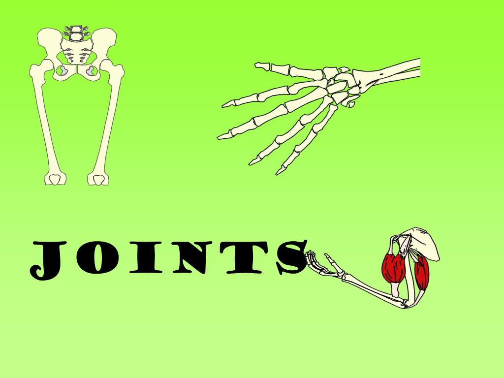 PPT JOINTS PowerPoint Presentation, free download ID2290879