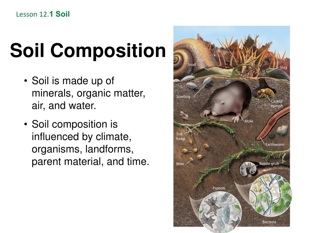PPT Soil and Agriculture PowerPoint Presentation, free download ID