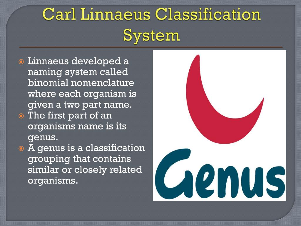 PPT Classification of Life PowerPoint Presentation, free download