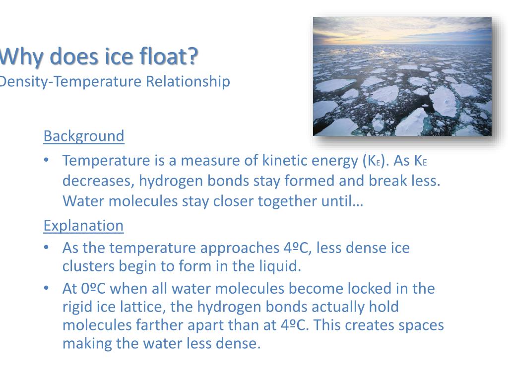 PPT Chemical and Physical Features of Seawater and the World Ocean