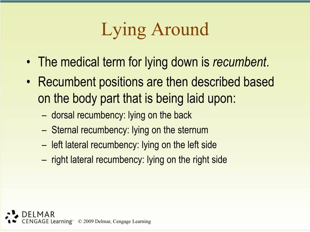 PPT Chapter 2 PowerPoint Presentation, free download ID2298900