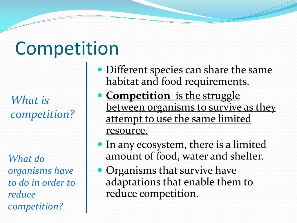 PPT Competition, Predation and Symbiosis PowerPoint Presentation