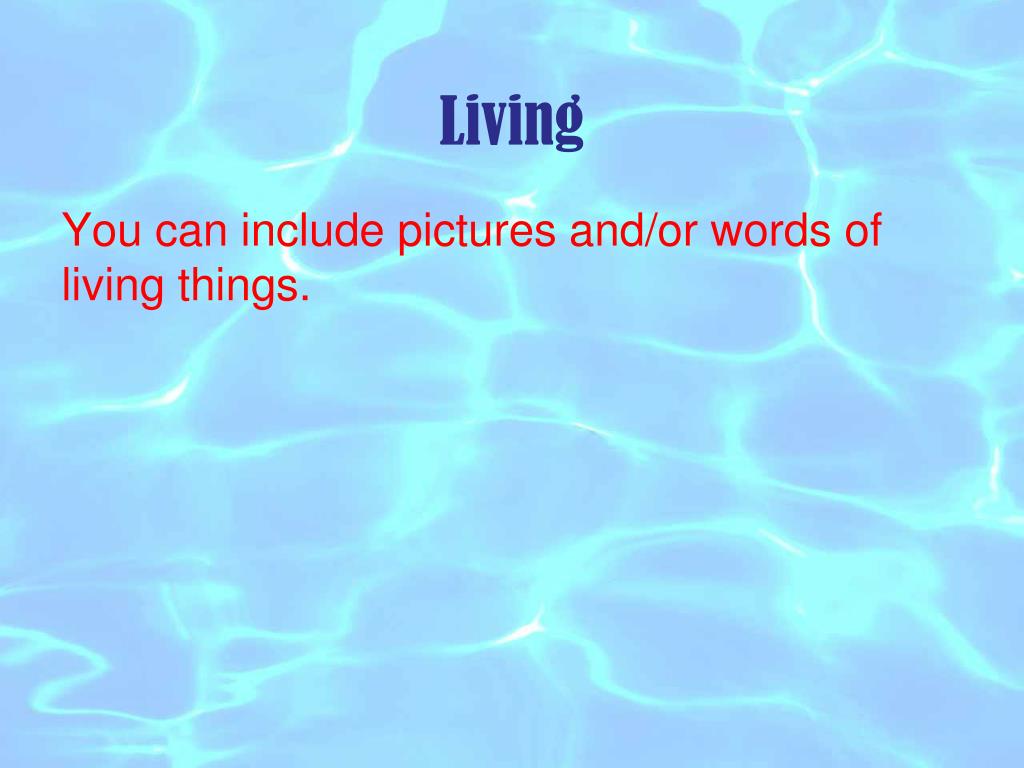 PPT Just Say No to the Marina Expansion PowerPoint Presentation, free