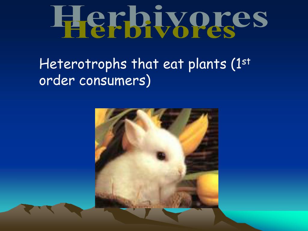 PPT 6/7/13 Living Environment PowerPoint Presentation, free download