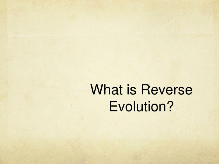 PPT Reverse Evolution PowerPoint Presentation ID2304693