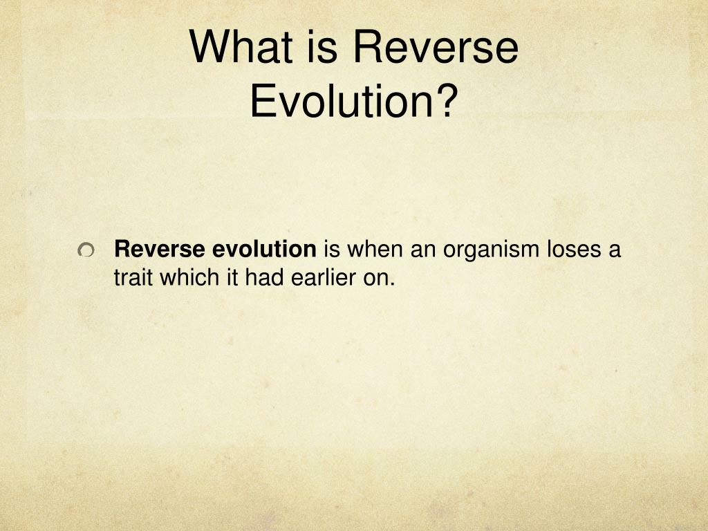 PPT Reverse Evolution PowerPoint Presentation, free download ID2304693