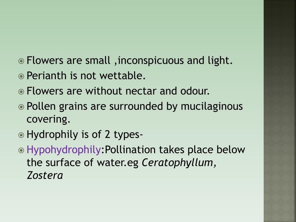 PPT Topic Pollination adaptations PowerPoint Presentation, free