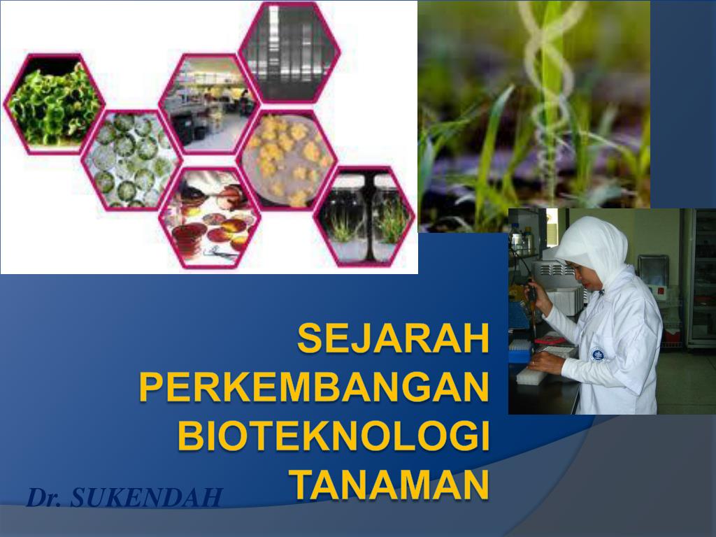 PPT SEJARAH PERKEMBANGAN Bioteknologi TANAMAN PowerPoint Presentation