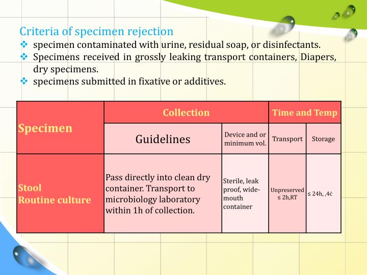 PPT Routine & Special stool culture PowerPoint Presentation ID2316408