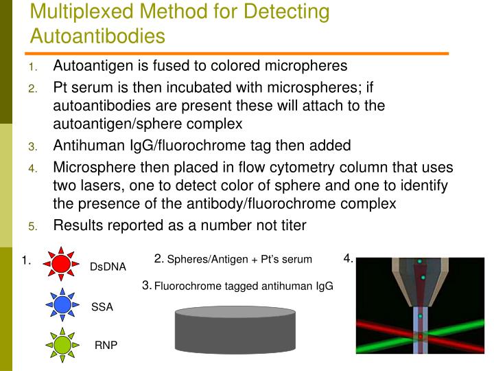 PPT Rheumatology Update Pearls for Primary Care PowerPoint