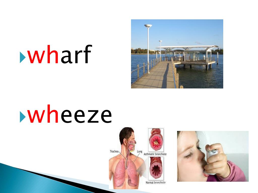 PPT ‘ w sounds spelled wh ’ PowerPoint Presentation, free download