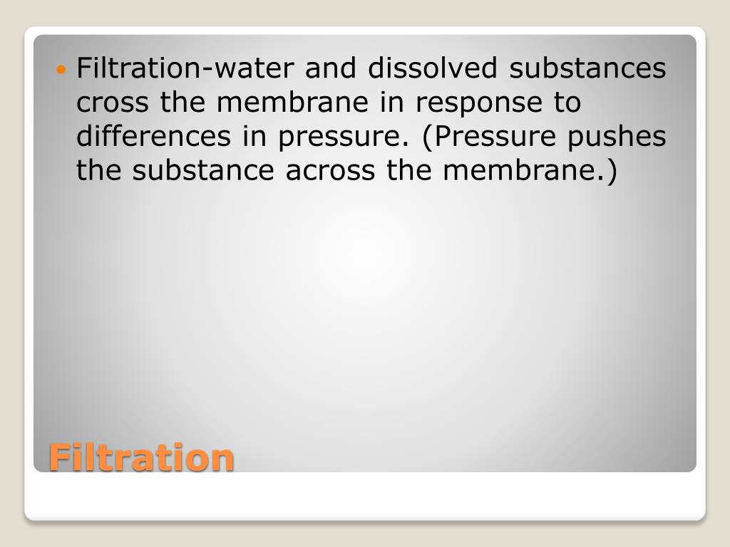 PPT Chapter 3 The Cell Joe Pistack MS/ED PowerPoint Presentation