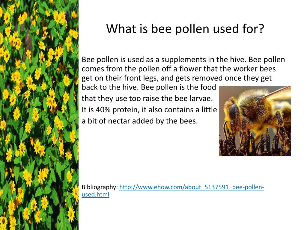 PPT Growing things plant power Research PowerPoint Presentation