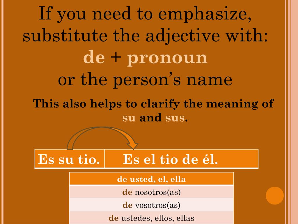 PPT Expressing possession Possessive Adjectives PowerPoint