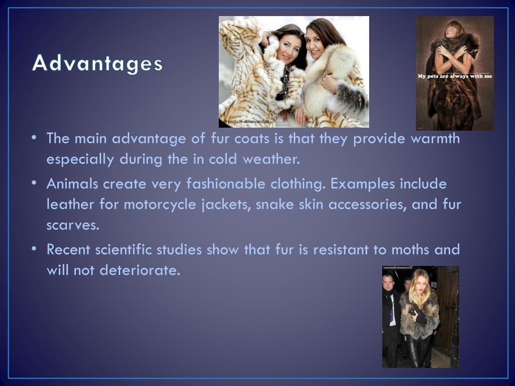 PPT The Fur Industry PowerPoint Presentation, free download ID2326608