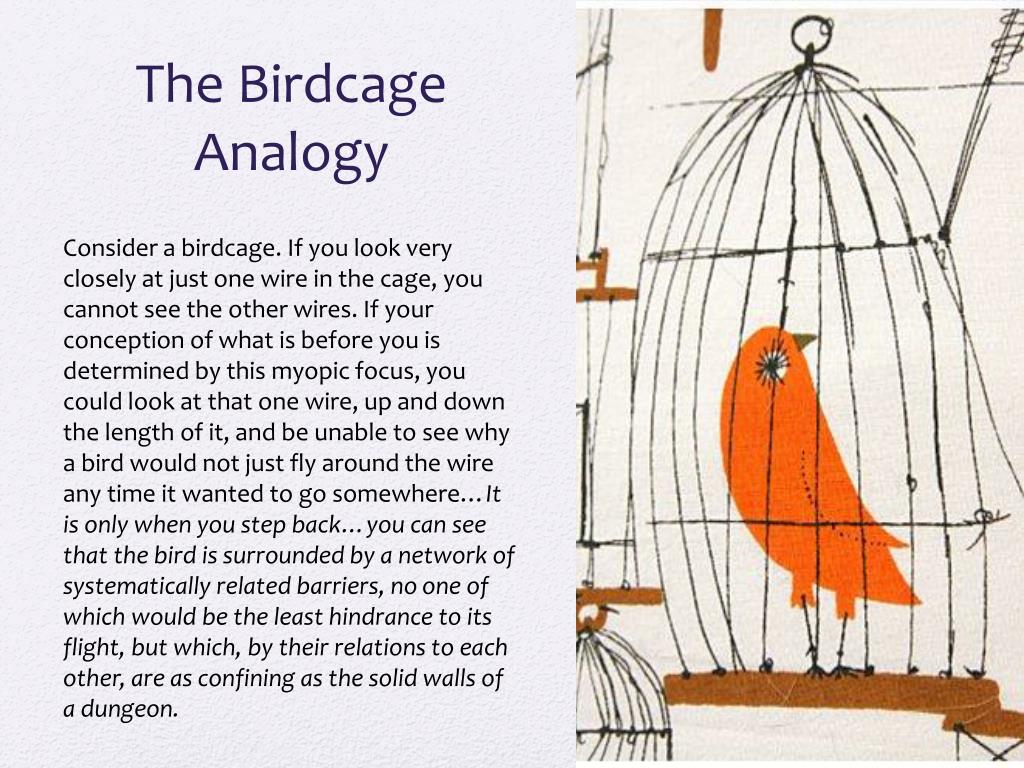 PPT Feminist Literary Theory PowerPoint Presentation, free download