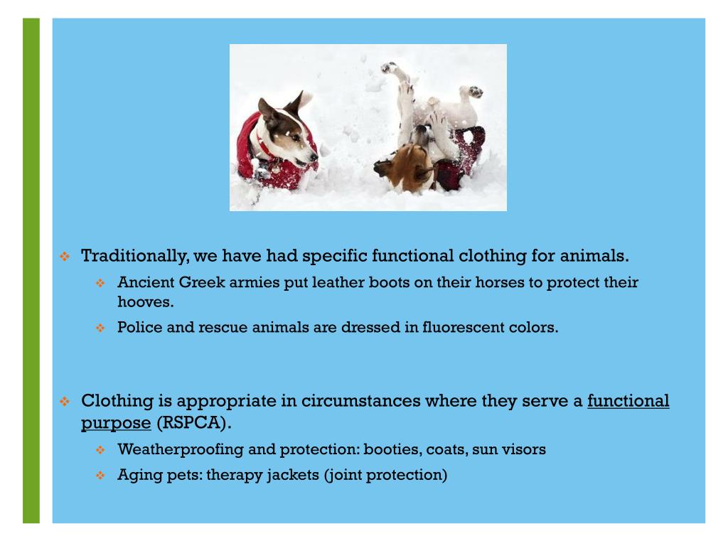 PPT Why you shouldn’t dress up your pet. PowerPoint Presentation